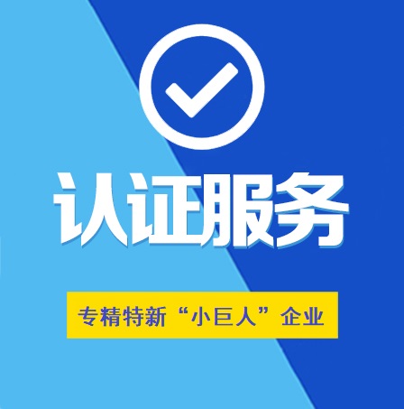 湖北省專精特新“小巨人”企業(yè)認定